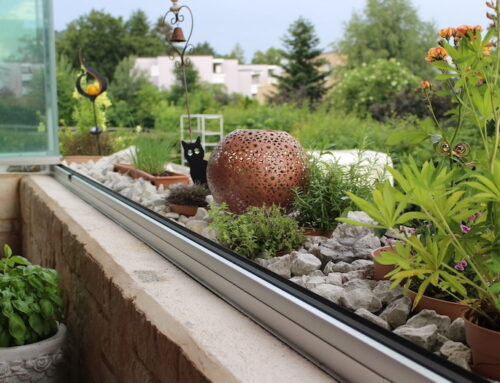 Projekt / Impression 15