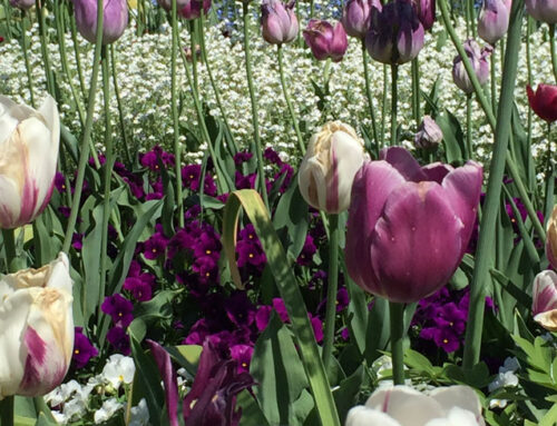 Projekt / Impression 10