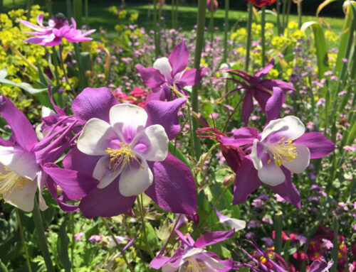 Projekt / Impression 8