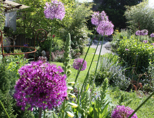 Projekt / Impression 12