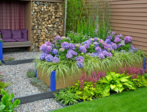 Projekt / Impression 4